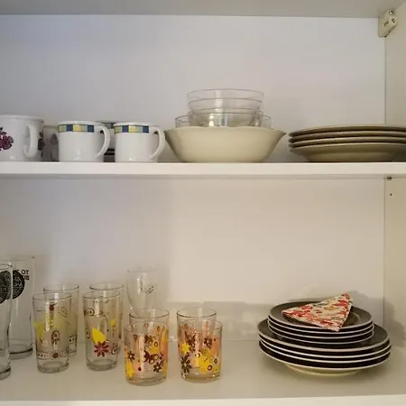 Primula Blejska Dobrava