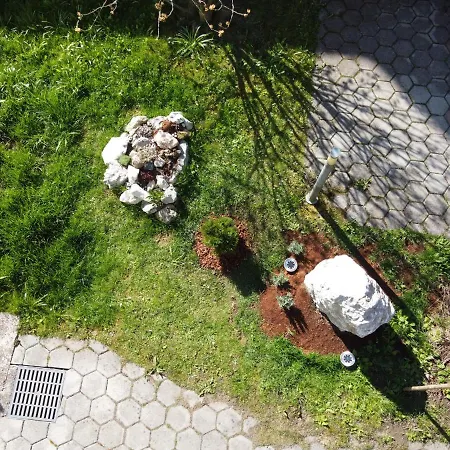 Primula Blejska Dobrava