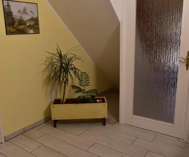 Apartament Primula *