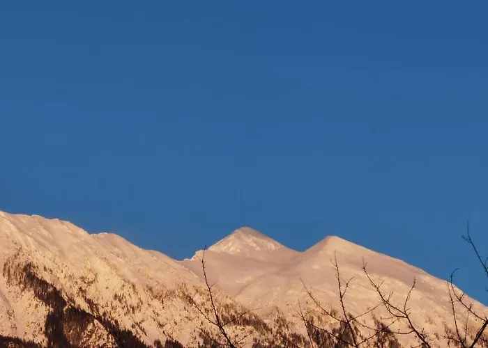 Primula * Blejska Dobrava