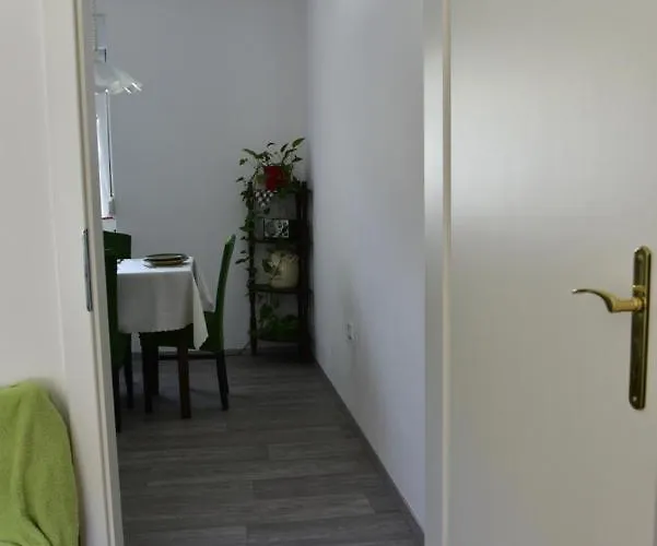 Primula * Blejska Dobrava