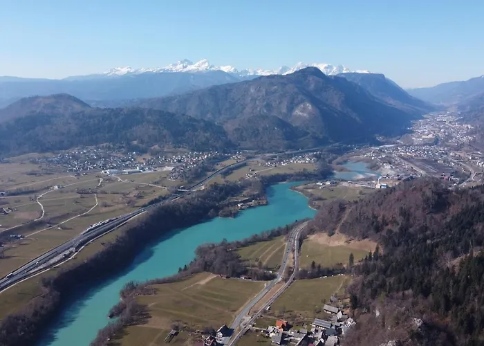 Primula Blejska Dobrava