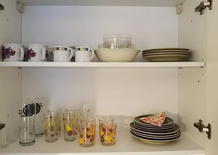 Primula Blejska Dobrava