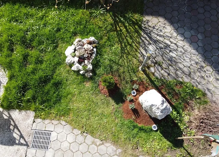 Primula Blejska Dobrava